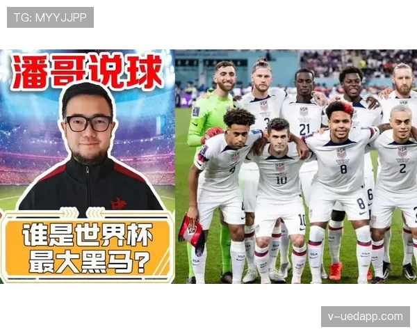 世界杯D组黑马球队前景排行榜
